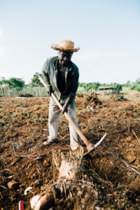 Read more about the article Saving the most vulnerable (Farmers)