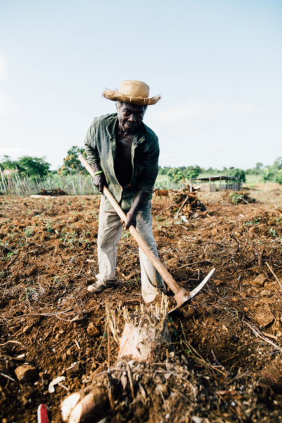 You are currently viewing Saving the most vulnerable (Farmers)